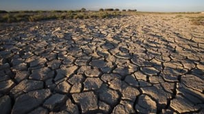 A Blueprint for Resilience