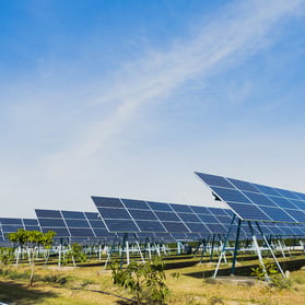 Environmental & Social Due Diligence for Solar Farm Portfolios