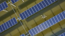 Environmental & Social Due Diligence for Solar Farm