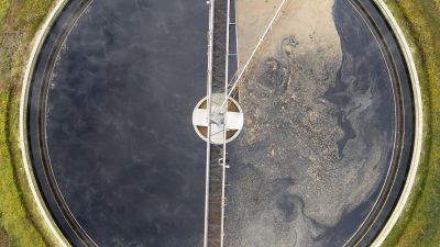 Understanding Environmental Contaminants: A Primer for Businesses