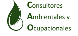 CAO Consultores