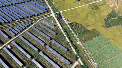 solar farms in paddy fields