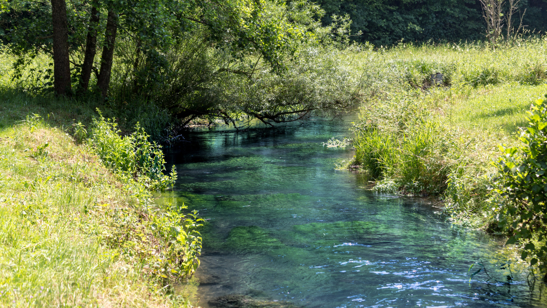 water-stewardship-case-study
