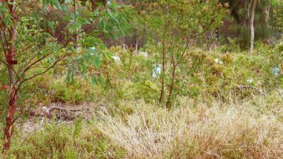 Environmental Audit of the Construction of Evapotranspiration Capping System for Municipal Landfill
