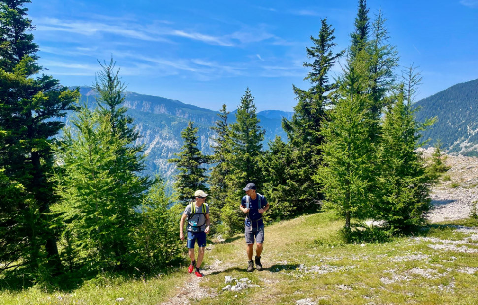 hikers-in-forest-image