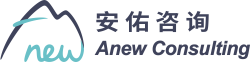 anew global consulting