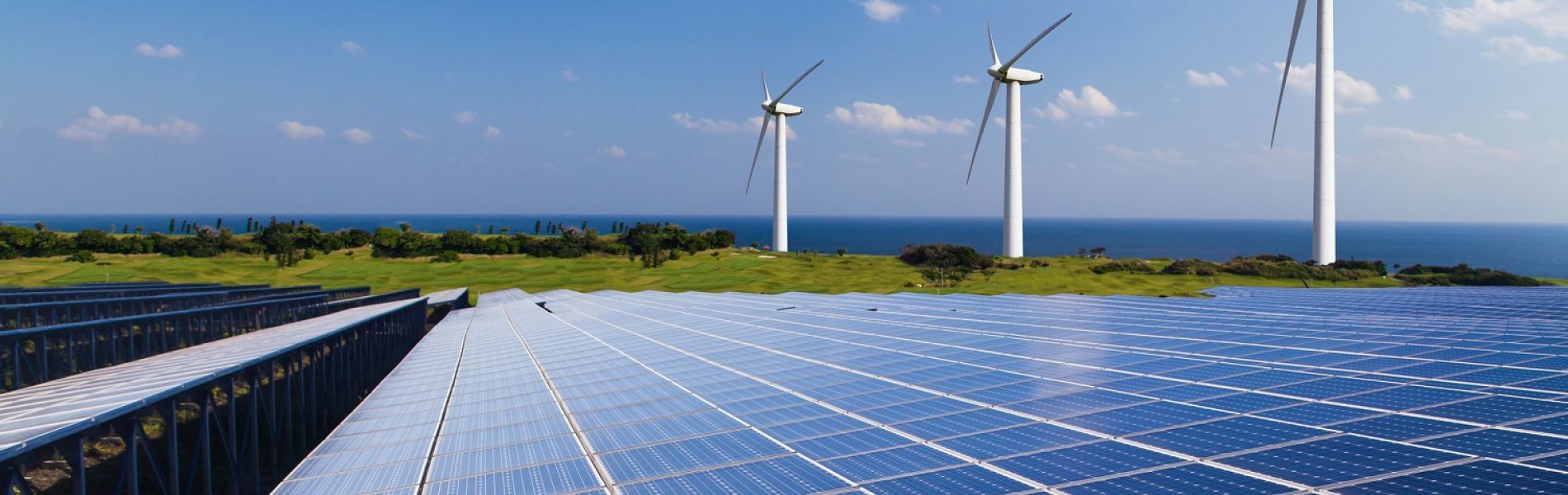 How to Implement Renewable Energy in Your Organization