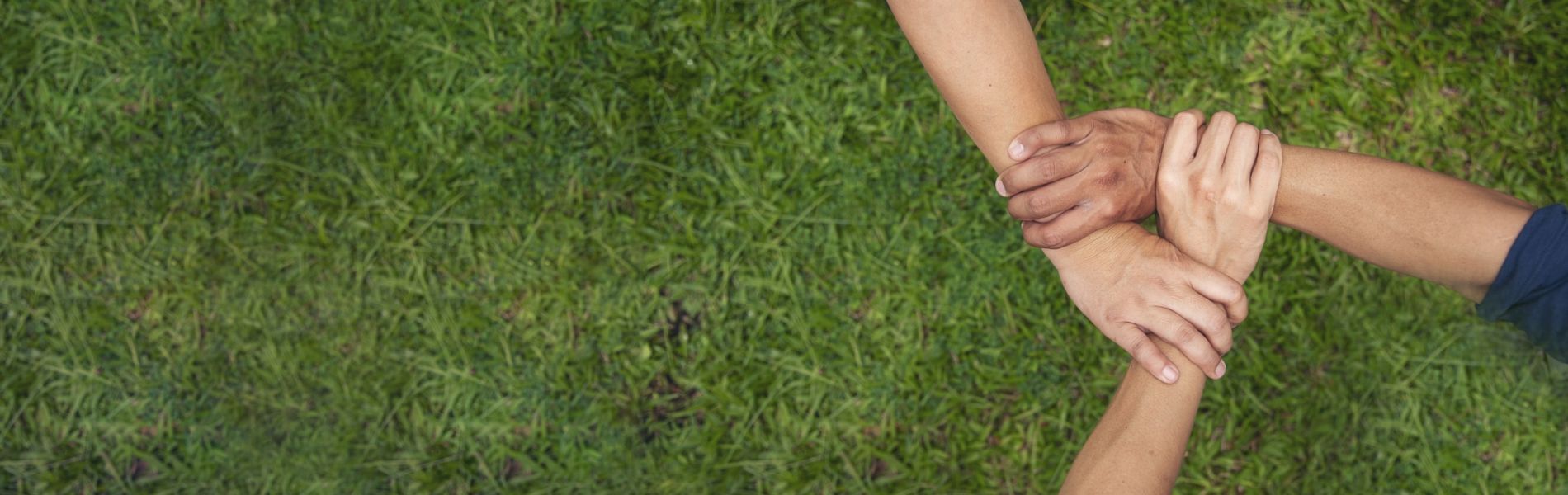 hands holding with green grass
