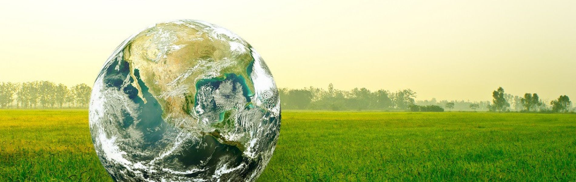 Order from Chaos – Global EHS&S Management Challenges and Solutions