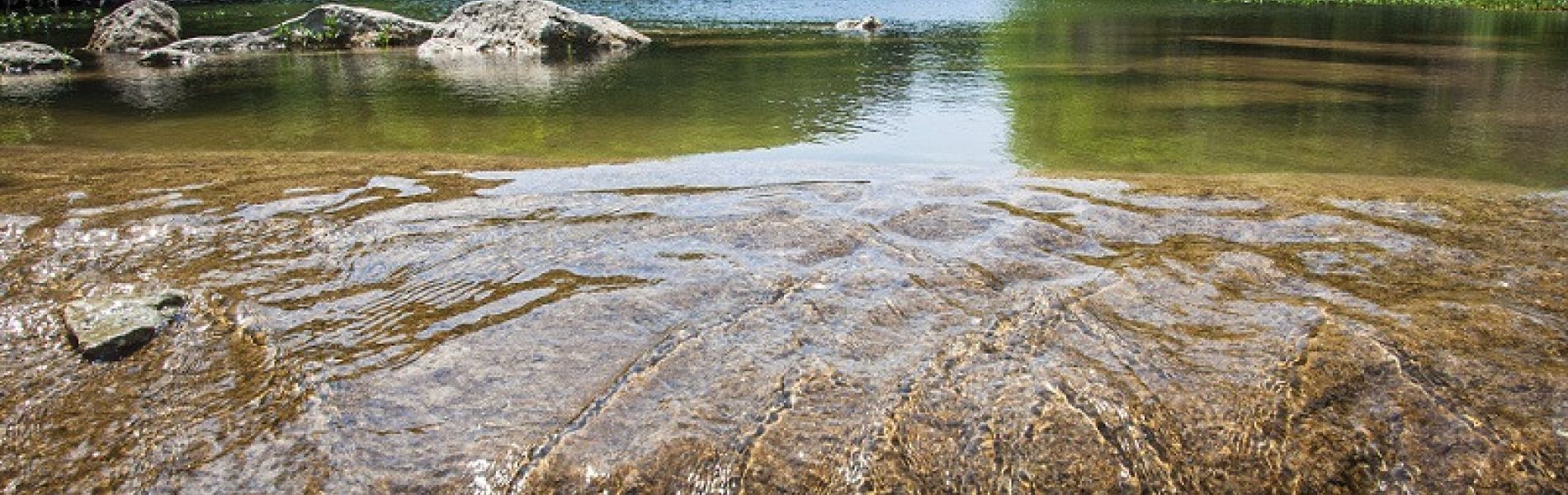Pursuing Alliance for Water Stewardship: Building Resilience for our Shared Water Resources