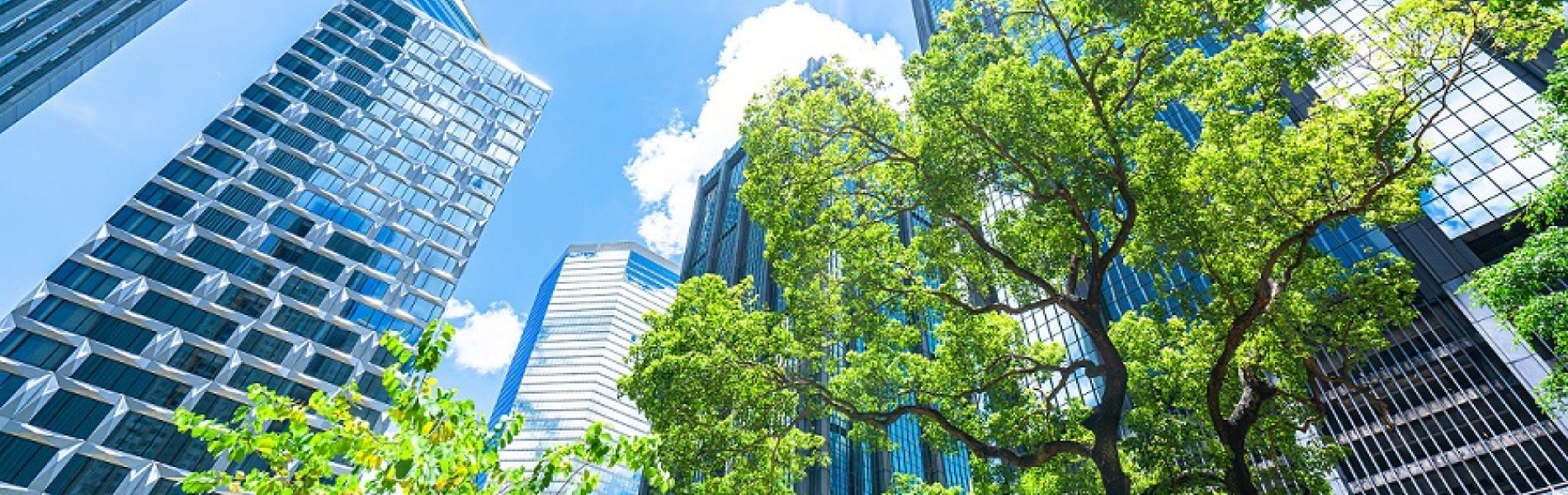 ESG ebook