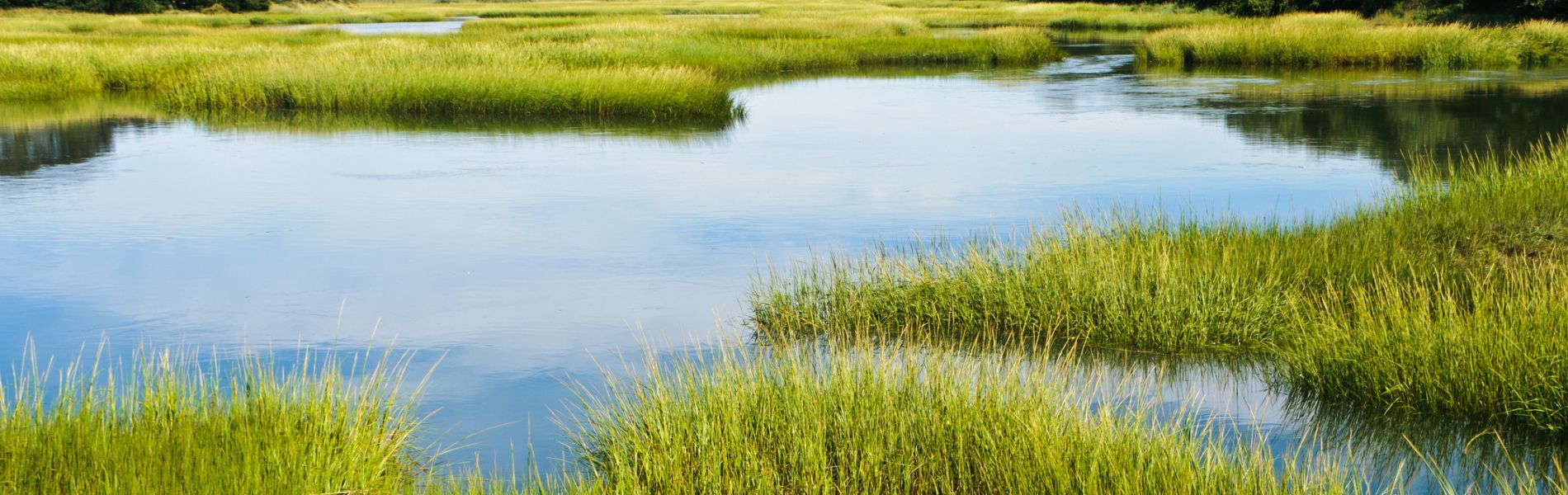 coastal watershed