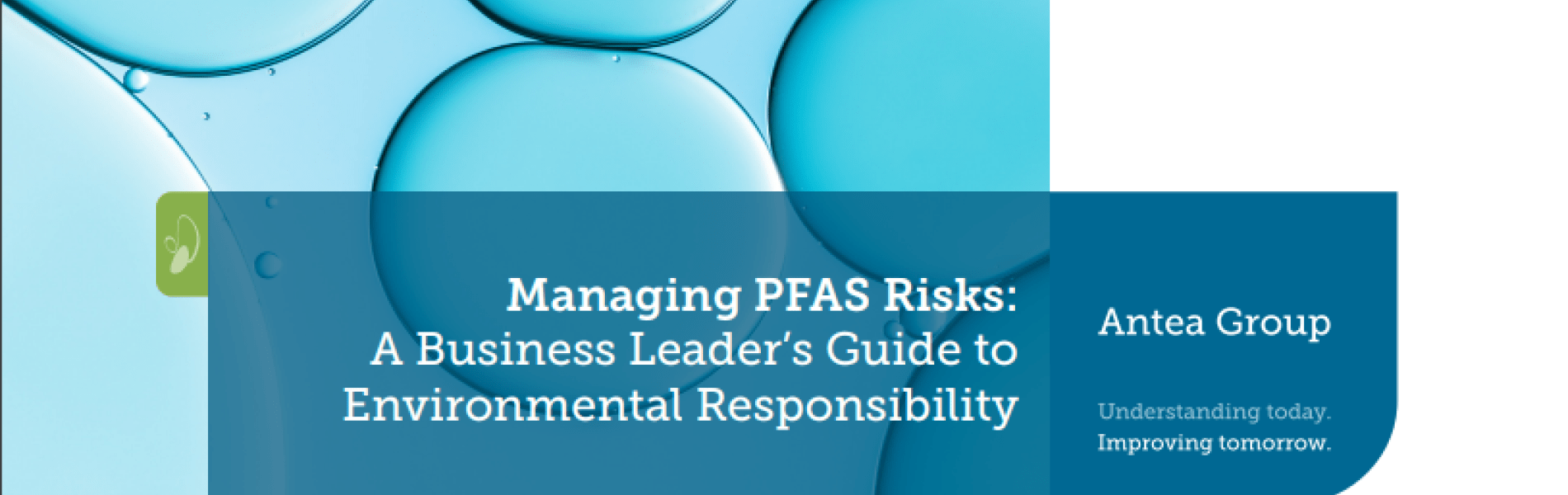 PFAS ebook