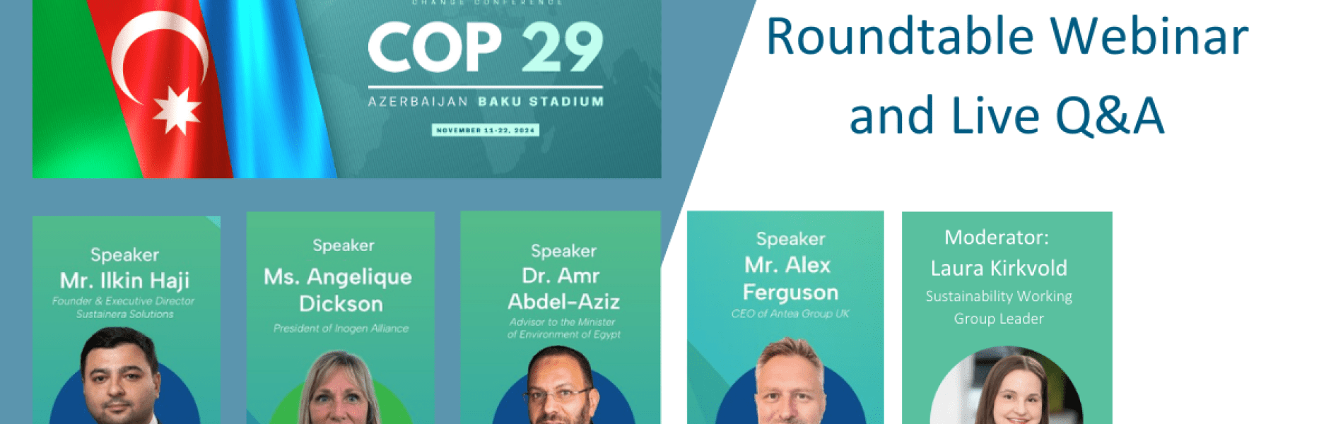 cop29 webinar