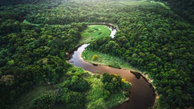 Winding river running through trees