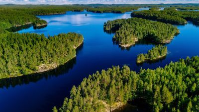 A lake with tree covered islands throughout