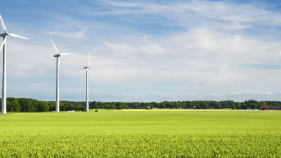 Windmills in a field with blue skies