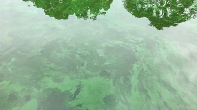 green wastewater