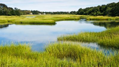 coastal watershed