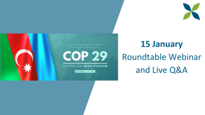 COP29 webinar