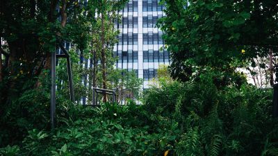 green building climate strategy
