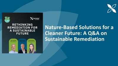 sustainable remediation