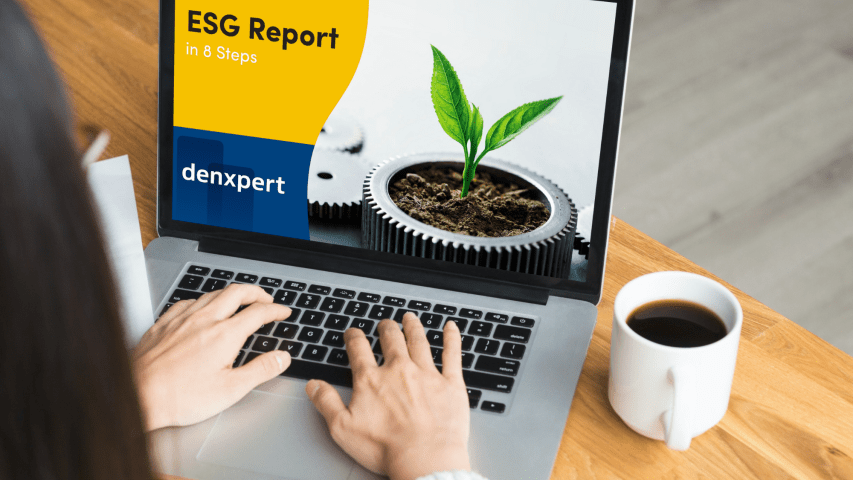 E-book: ESG Report in 8 steps