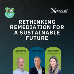 rethinking remediation for a sustainable future